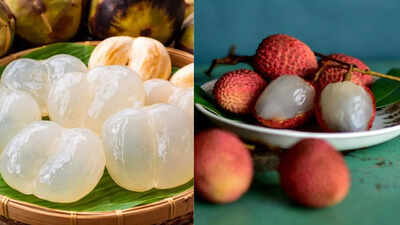 Ice apple vs litchi how these two popular summer fruits differ in taste and nutrition.jpg