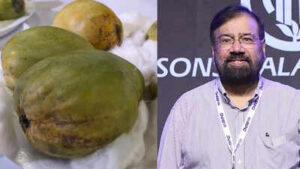 Kohitur mango the rare and expensive indian fruit that even billionaire harsh goenka says he cant afford.jpg