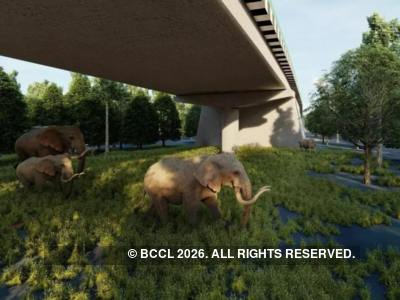 Longest wildlife corridor.jpg