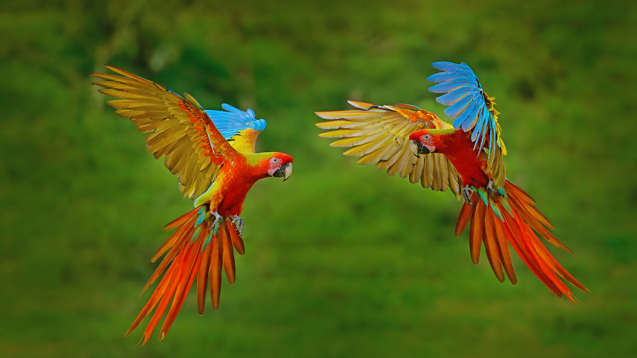 Msid 129613318imgsize 778078.cms .png