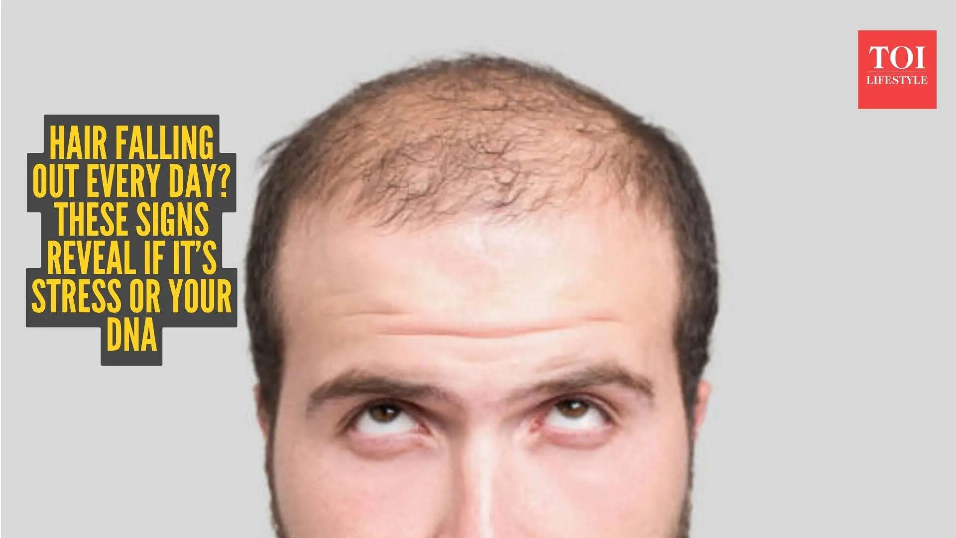 Msid 129880647imgsize 54150.cms .jpeg