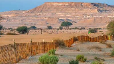 This country has almost no natural forests and the reason might surprise you.jpg