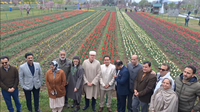 Tulip garden.jpg