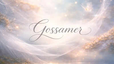 Word of the day gossamer.jpg