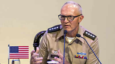 1775177139 thumbnail.jpg