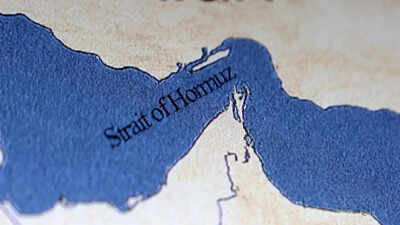 1775665874 representative image.jpg