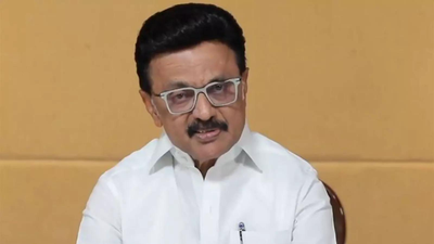 1775778049 unnamed file.jpg