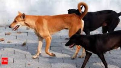 1775933266 unnamed file.jpg