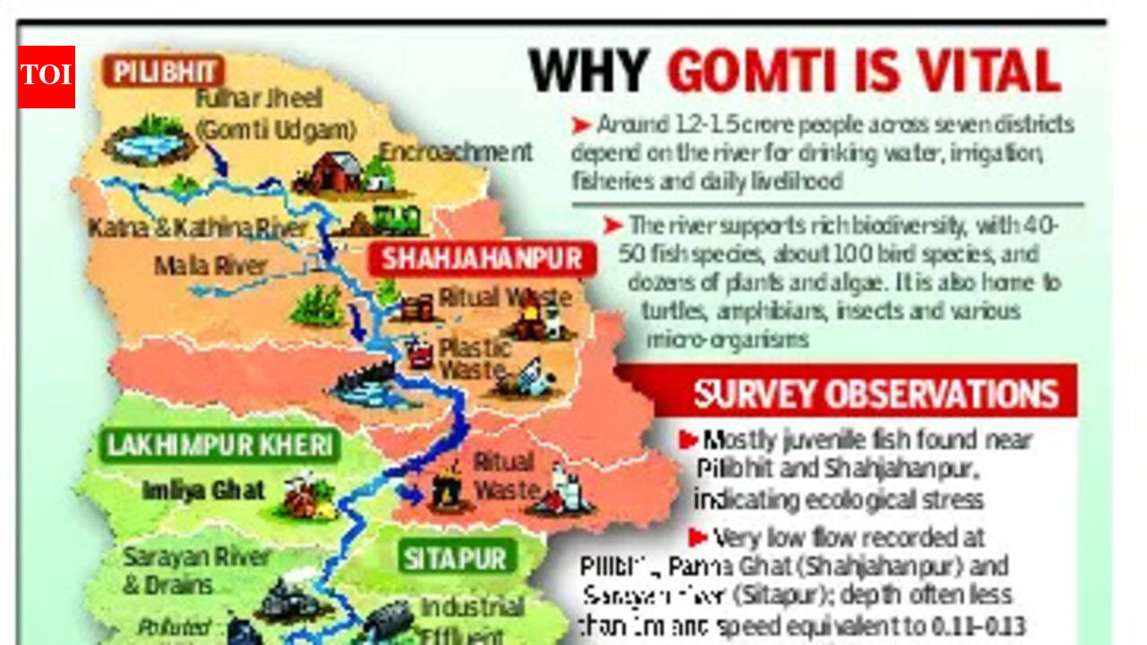 1776024707 photo.jpg