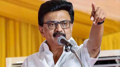 1776244968 mk stalin.jpg