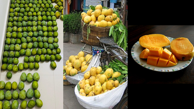 Lesser known mango varieties in india beyond alphonso and how they differ in taste and texture.jpg