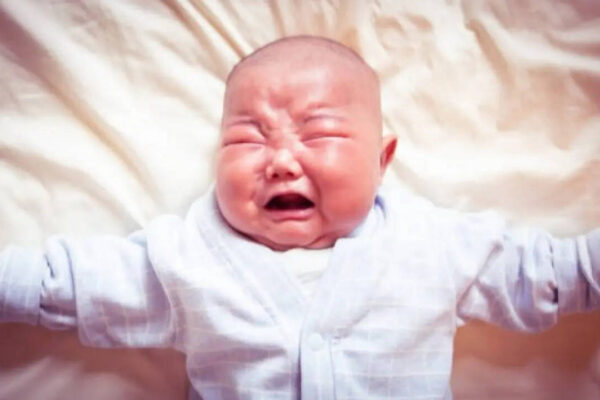 Msid 130012167imgsize 26442.cms .jpeg