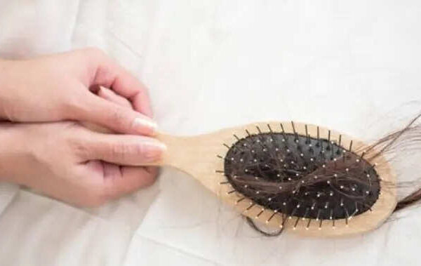 Msid 130106084imgsize 12632.cms .jpeg