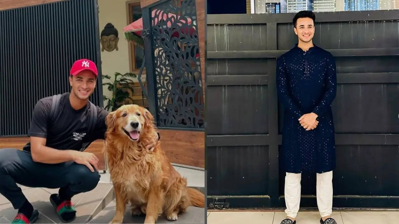 Msid 130233070imgsize 66606.cms .jpeg