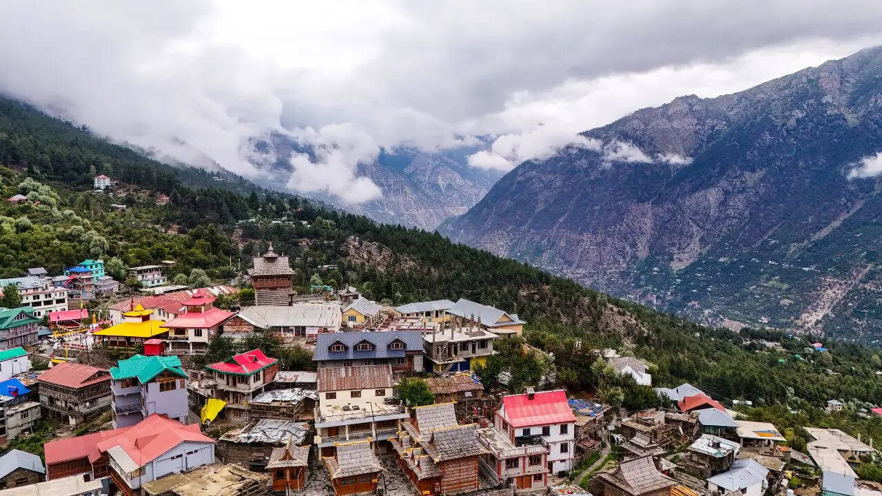 Msid 130233107imgsize 186664.cms .jpeg