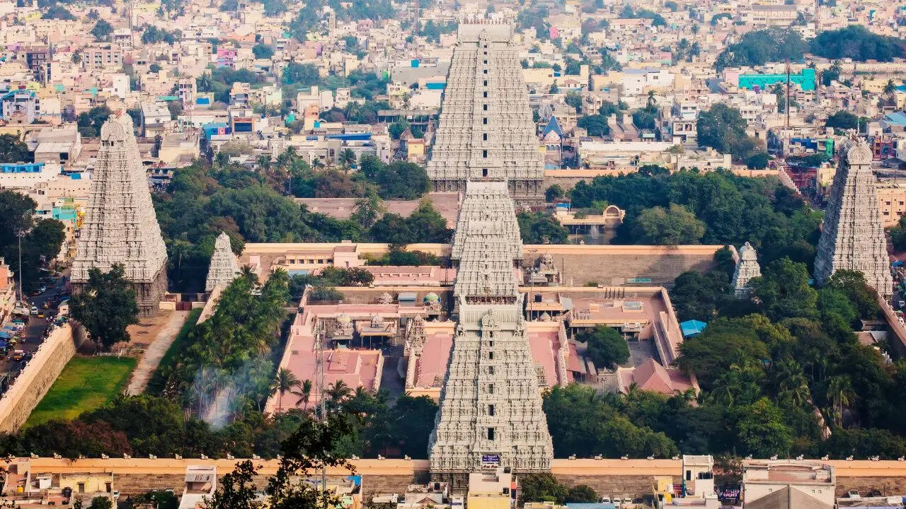 Msid 130304063imgsize 231448.cms .jpeg