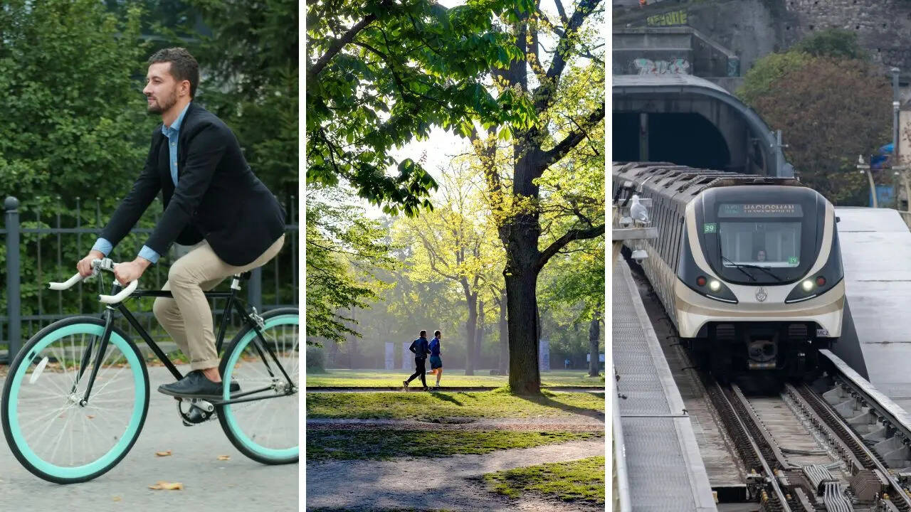 Msid 130409737imgsize 168230.cms .jpeg