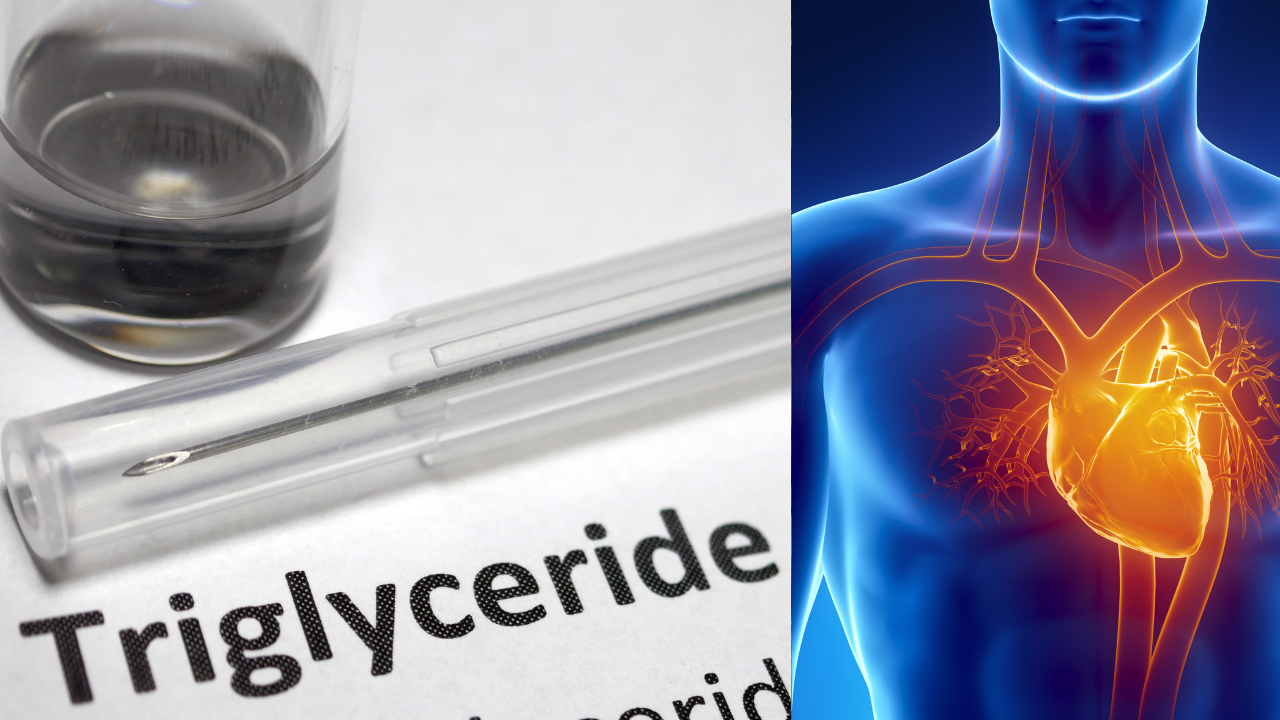 Msid 130547184imgsize 1031465.cms .png