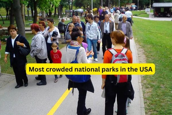 Msid 130640832imgsize 161428.cms .jpeg