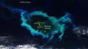 Nasa satellite spots gleaming halo around new zealands chatham islands.jpg