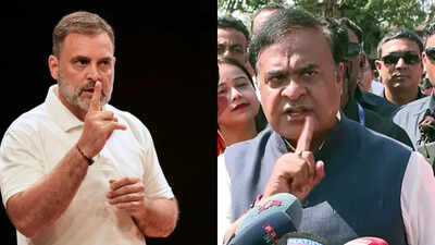 Rahul amp himanta.jpg