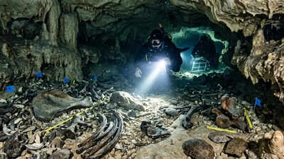 Rare ice age fossils found in texas cave could rewrite ancient climate history.jpg