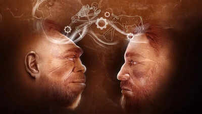 Scientists uncover 110000 year old evidence in israel of humans and neanderthals working together.jpg