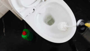 Should you close the toilet lid before flushing the right way to maintain toilet hygiene.jpg