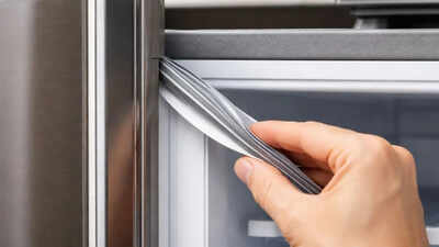 This small rubber strip on your fridge door could be reducing your electricity bill heres how.jpg