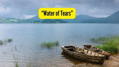 Water of tears.jpg