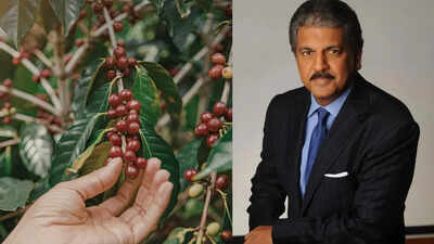 Why is anand mahindra still emotionally connected to a 60 acre coffee plantation from his childhood.jpg