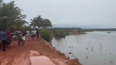1779621319 pti image.jpg