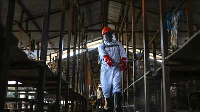 750 cases 177 dead no vaccine ebola outbreak spirals in drc uganda closes border.jpg