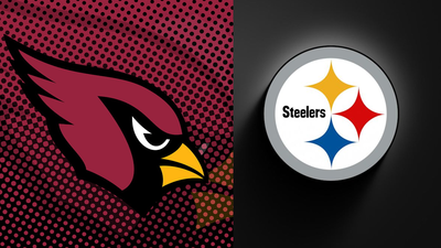 Arizona cardinals.jpg
