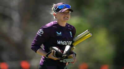 England v england lions.jpg