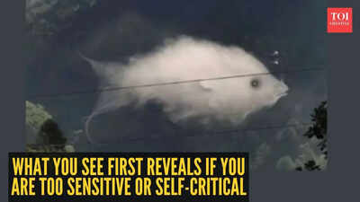 Fish cloud 1.jpg