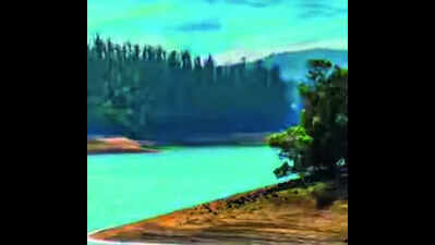 Img pykara lake ooty boa 2 1 lljrj31ijpg.jpg