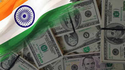 India forex reserves.jpg