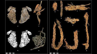 Inside a cave older than egypts pyramids 12000 year old stitched piece of elk hide may be the worlds oldest clothing.jpg