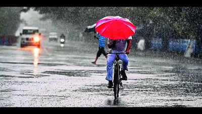 Margao council gears up for monsoon season.jpg