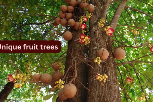 Msid 131033174imgsize 241514.cms .jpeg