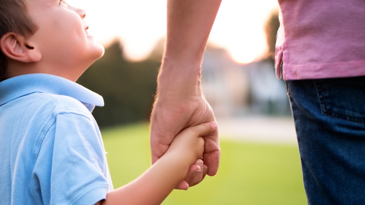 Msid 131384446imgsize 1164191.cms .png