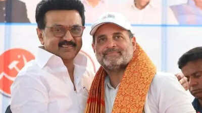 Rahul gandhi mk stalin.jpg