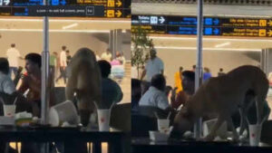 The footage has sparked debate among travellers with many questioning security protocols and cleanliness measures inside the airport.jpg