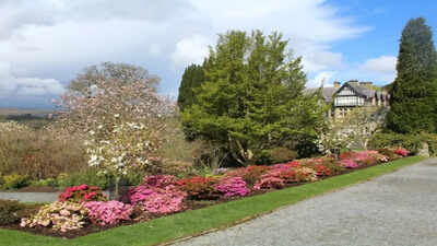 The simple planting trick that makes flower beds look professionally designed.jpg