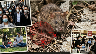 Why is hantavirus not a new pandemic or is it.jpg