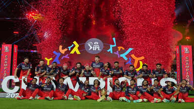 India ipl cricket.jpg