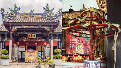 Inside malaysia39s snake temple where venomous vipers live among prayer halls and people worship alongside them.jpg