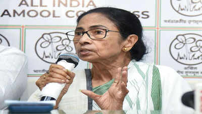 Mamata 2.jpg