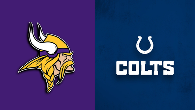 Minnesota vikings.jpg